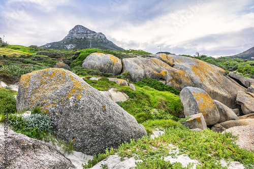 Wonderful Camps Bay nature (Kampsbaai) before sunset - affluent suburb of Cape Town. Camps Bay bordered by spectacular Twelve Apostles Mountain and glittering Atlantic Ocean. Camps Bay, South Africa. © dbrnjhrj