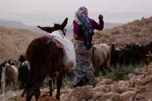 Tablou canvas Close up photo of a slim girl in traditional dress and wearing headscarf as she brings the goat herd to pasture through rough and rocky terrain
