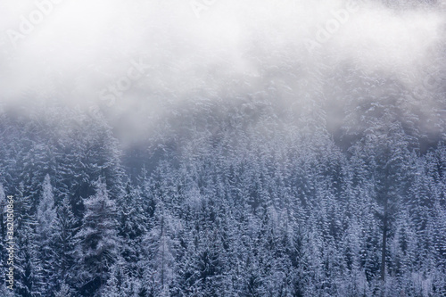 Misty mountain slope with trees covered in snow and clearing fog