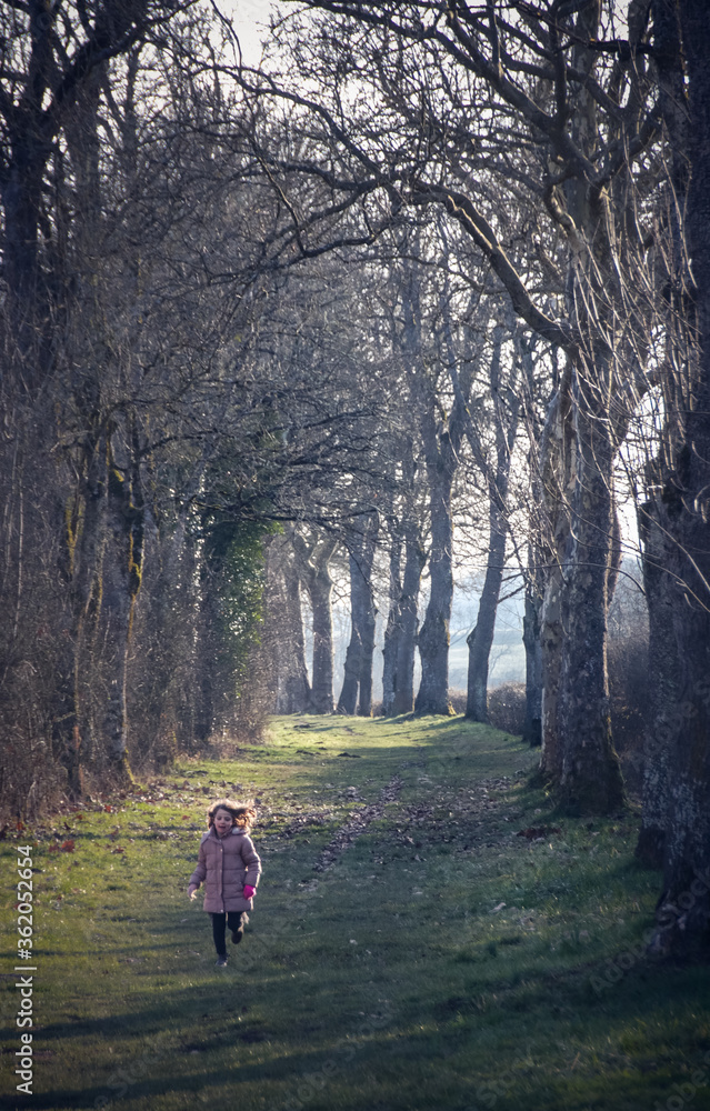 Obraz premium Chilfd walking in the woods