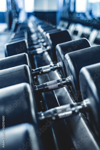 row of dumbbells in modern gym