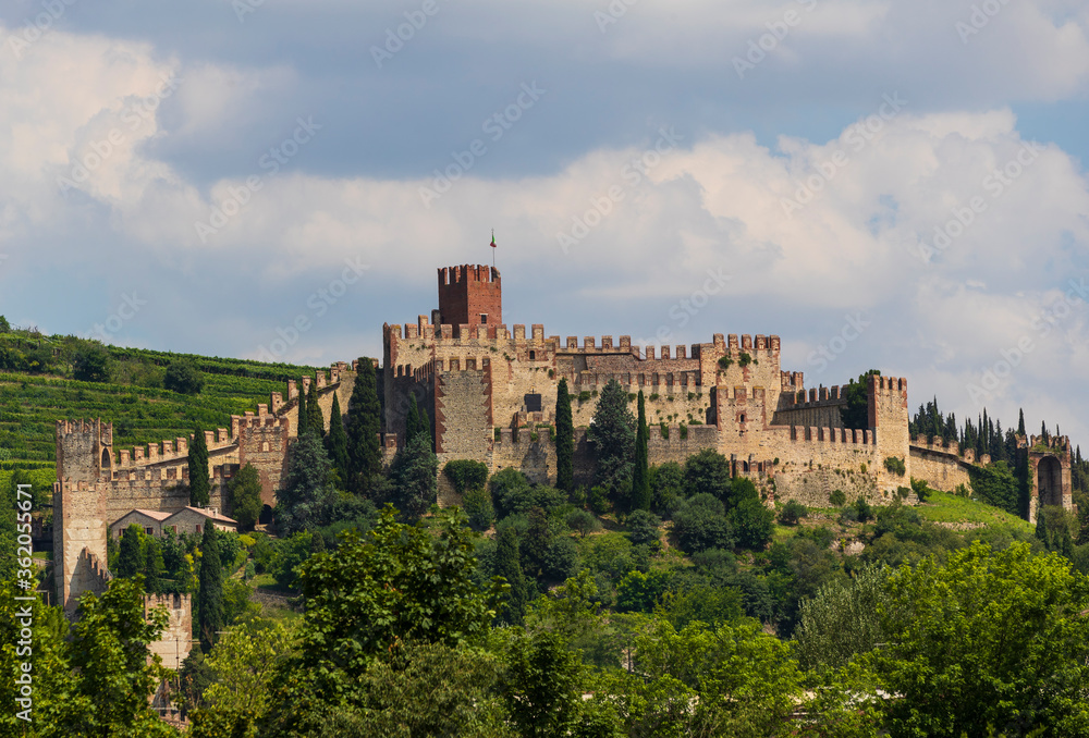 The walled town of Soave in Italy / Scaliger castle