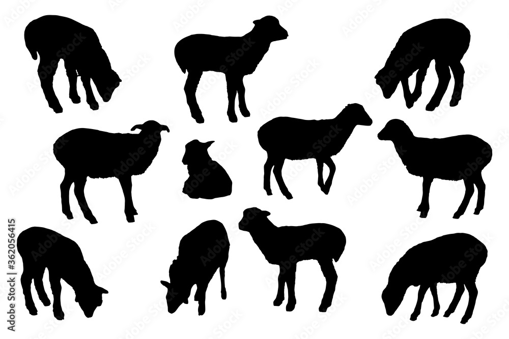 Obraz premium Goat silhouettes big set on white background