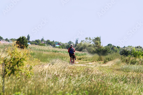 A cyclist rides to village, on a country road, among the grasses.