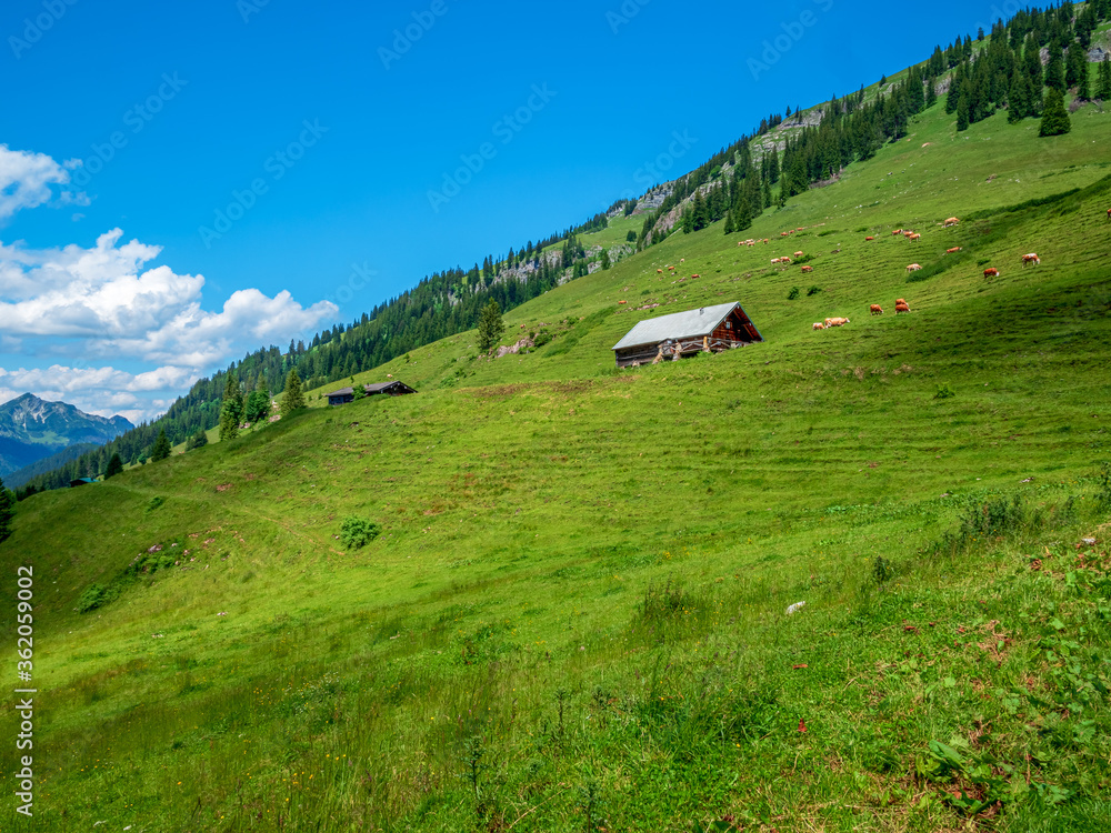 Austrian landscape lonely wooden barn