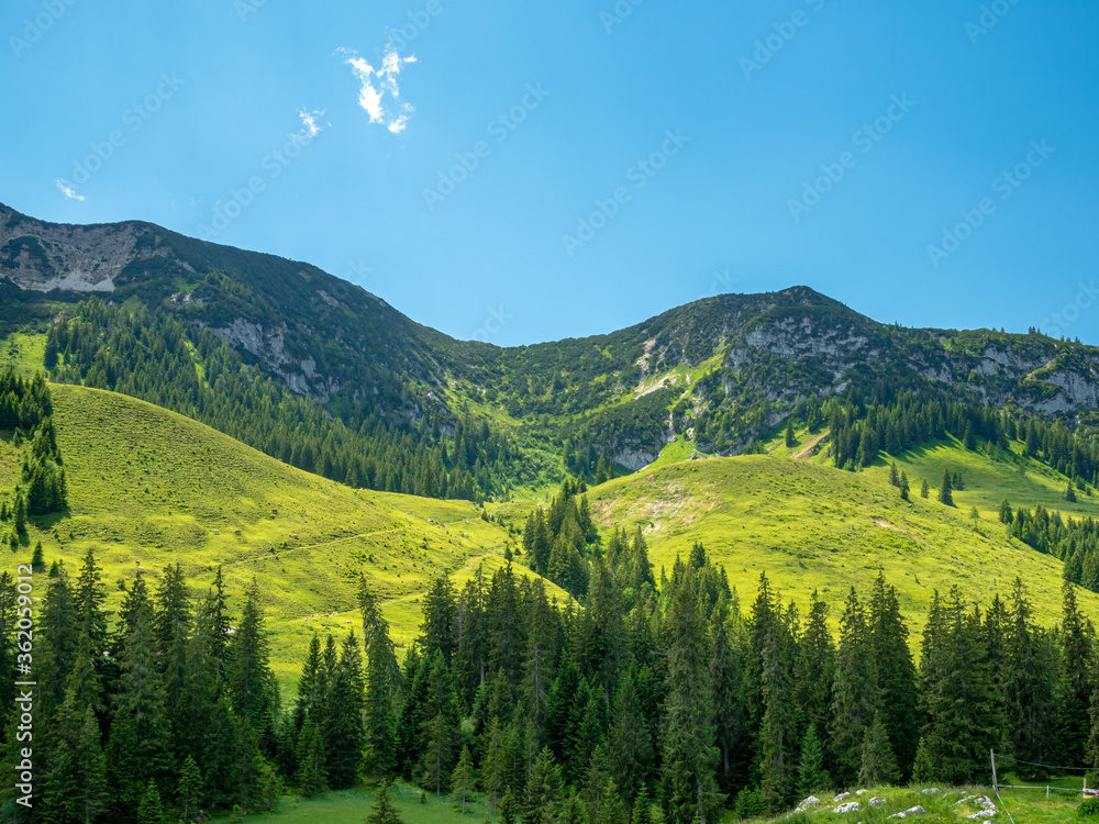 Obraz premium Austrian landscape lonely wooden barn