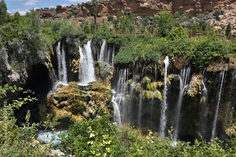 Fototapeta premium waterfall in the forest