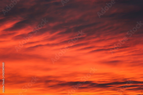 Dark orange clouds at sunset. © German S