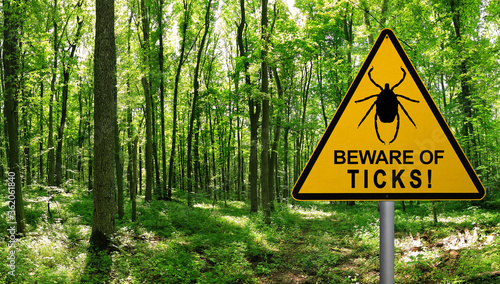 Warning sign beware of Ticks in infested area in the green forest 