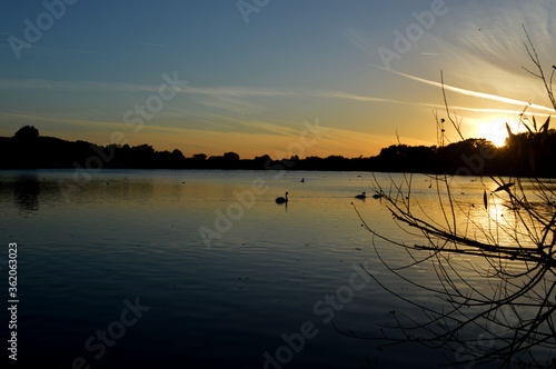 Evening lake