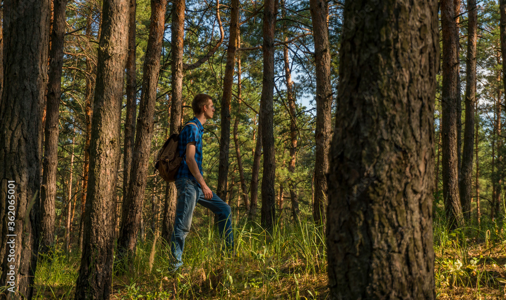 A young man in a blue plaid shirt and a backpack walks through the coniferous forest A young man in a blue plaid shirt and a backpack walks through the coniferous forest