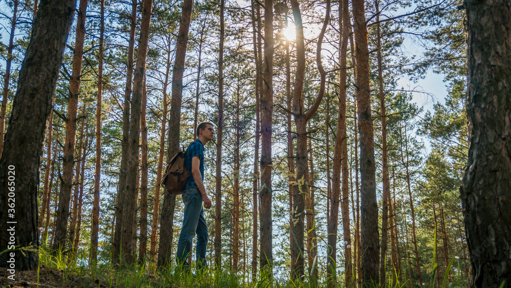 A young man in a blue plaid shirt and a backpack walks through the coniferous forest A young man in a blue plaid shirt and a backpack walks through the coniferous forest