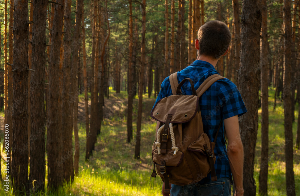 A young man in a blue plaid shirt and a backpack walks through the coniferous forest