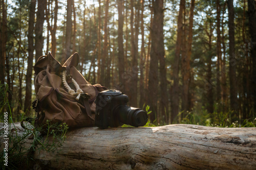A digital camera with a backpack lies on a log in the coniferous forest
