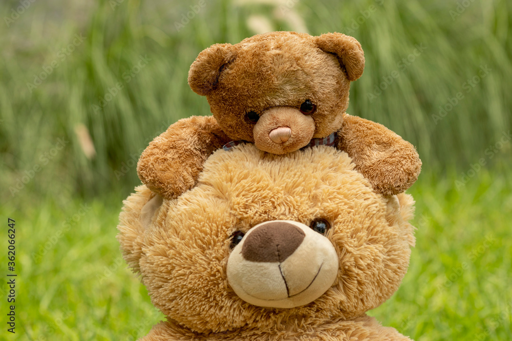 Teddy bear with little bear outdoors Teddy bear with little bear outdoors