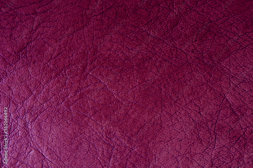 Fototapeta premium Purple leather texture. Purple pleated leather for text and design.