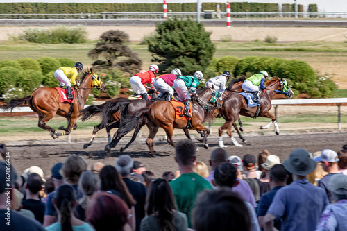 Horse racing at the race track