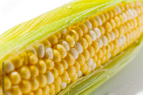Yellow Corn Cob Closeup, Macro Shot on the white background