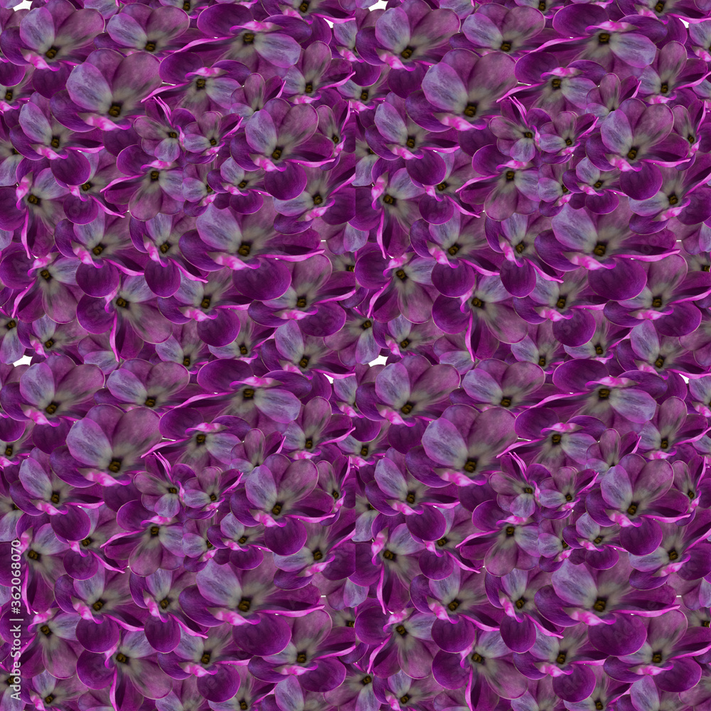 The pattern of the flowers of lilac The pattern of the flowers of lilac