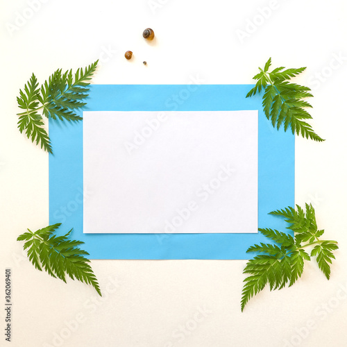 Summer mockup. A white sheet of paper next to wild plants in a blue frame