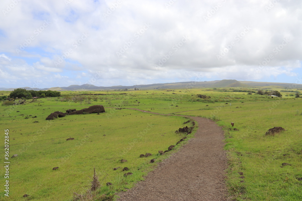 Chemin sur une prairie du volcan Rano Raraku à l'île de Pâques	
