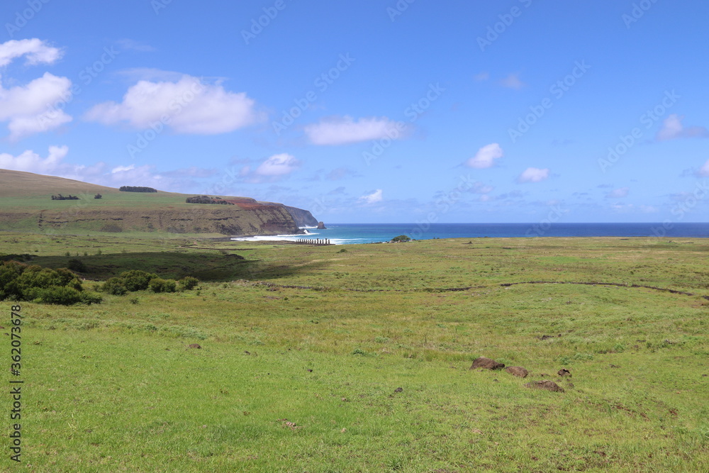 Fototapeta premium Prairie et littoral à l'île de Pâques
