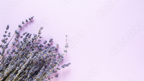 Lavender dry flowers on violet background. Space for text.  Top view