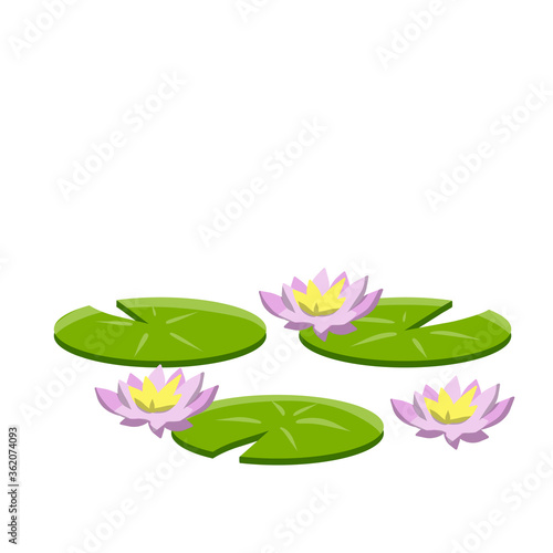 Nenuphars. Water lily. Plant on lake and pond. Big green leaf. Element of nature, forest and wild life. Swamp Pink flowers. Flat cartoon