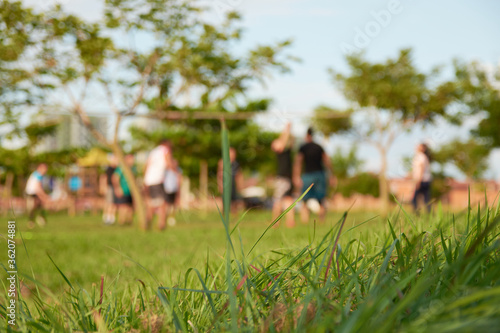a group of people playing in a park during the summer