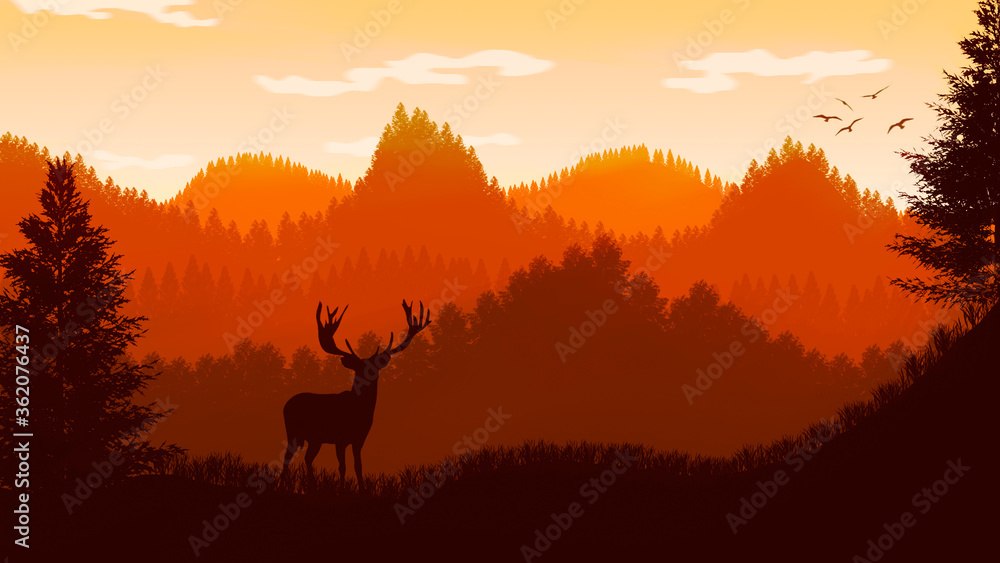 deer in the sunset