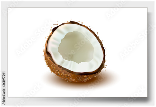 3 d. Ripe Coconut with white flesh on a White background. Isolated Coconut Half. Vector image.