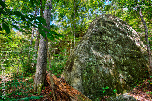 large stone outcrop in forest