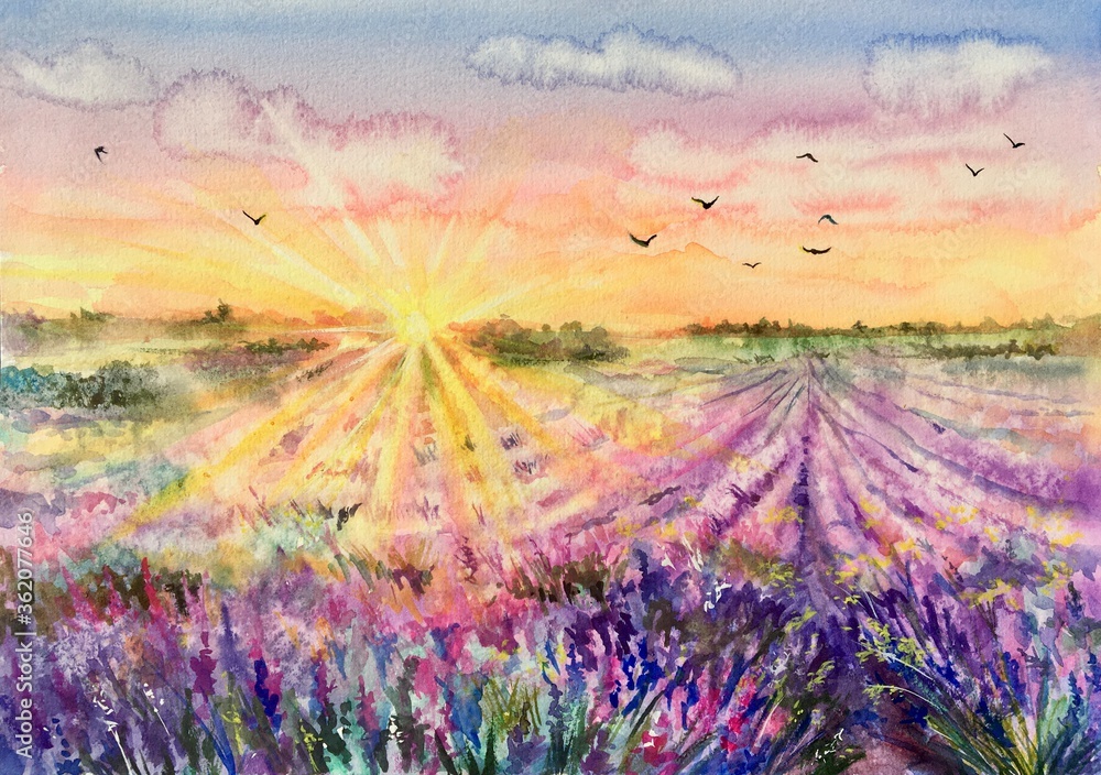 Watercolor lavender field. Sunset lavender field. Violet background. France Provence. Spring summer postcard banner. Fragrant flowers. Aroma.