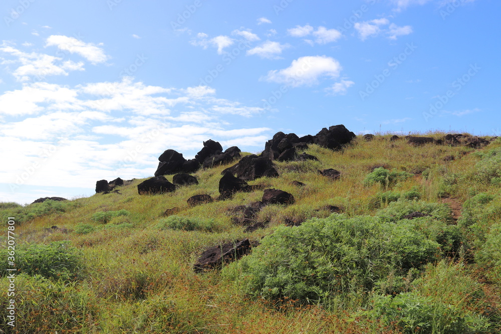 Fototapeta premium Roches volcaniques du volcan Rano Kau à l'île de Pâques