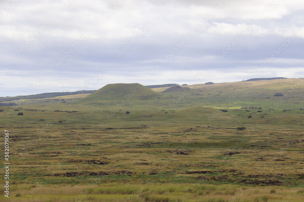 Obraz premium Prairie à l'île de Pâques