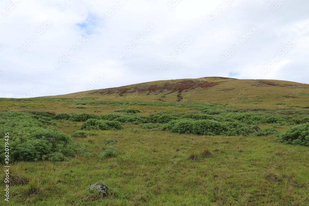 Obraz premium Prairie à l'île de Pâques
