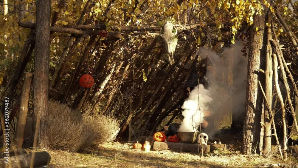Sorceress performs a mystical ritual in the forest in a hut. Theme of