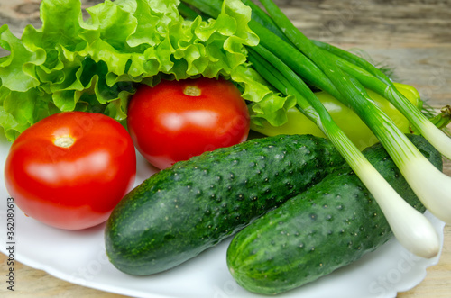 beautiful fresh, juicy vegetables on a white plate: fresh peppers, tomatoes, cucumbers, lettuce, dill, green onion