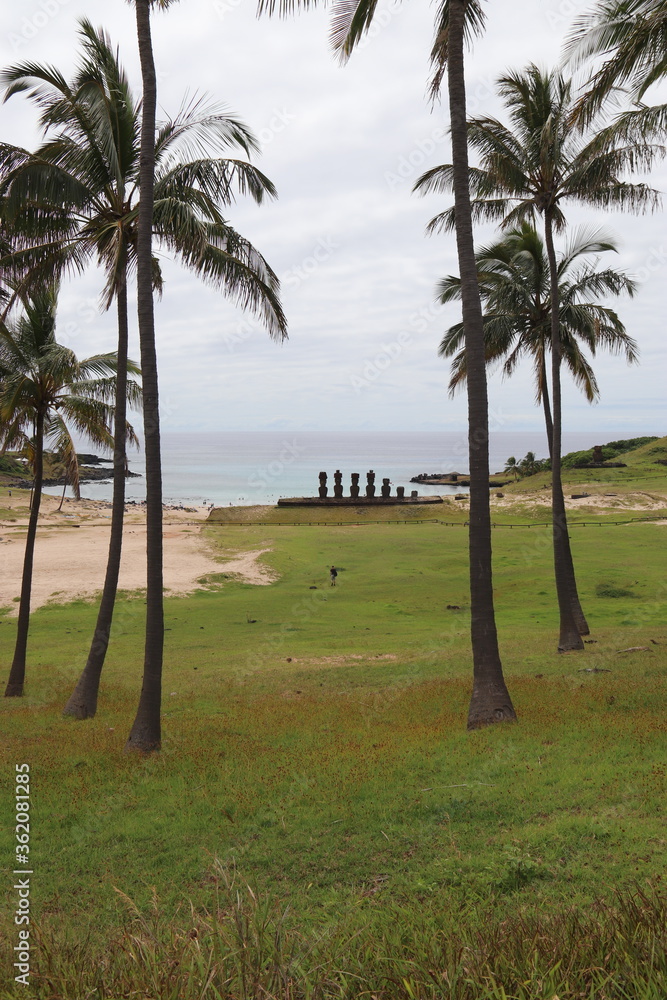 Palmiers de la plage d'Anakena à l'île de Pâques Palmiers de la plage d'Anakena à l'île de Pâques
