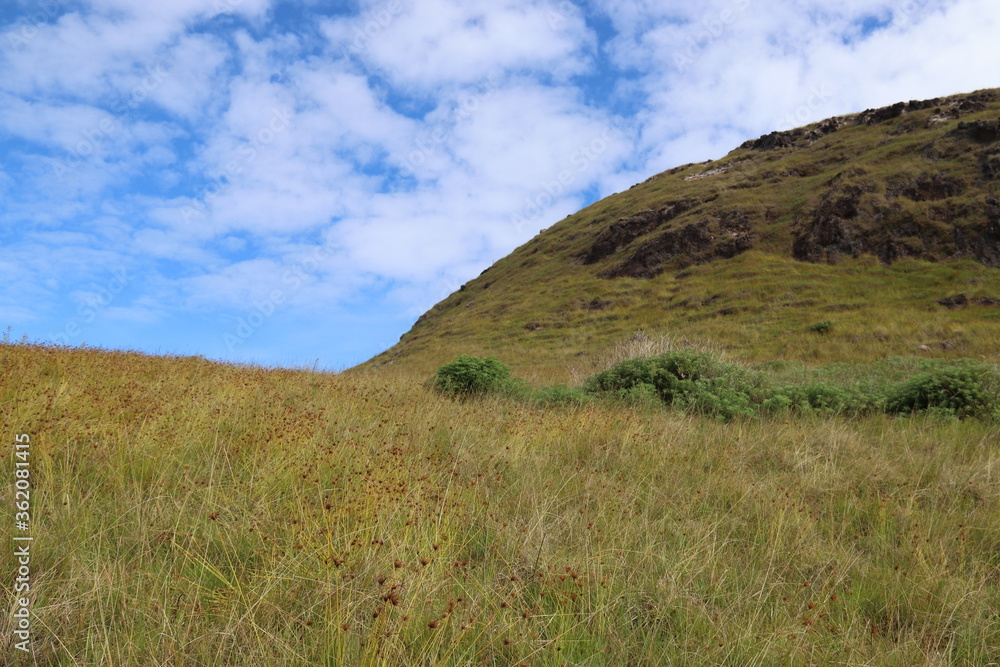 Colline volcanique à l'île de Pâques	