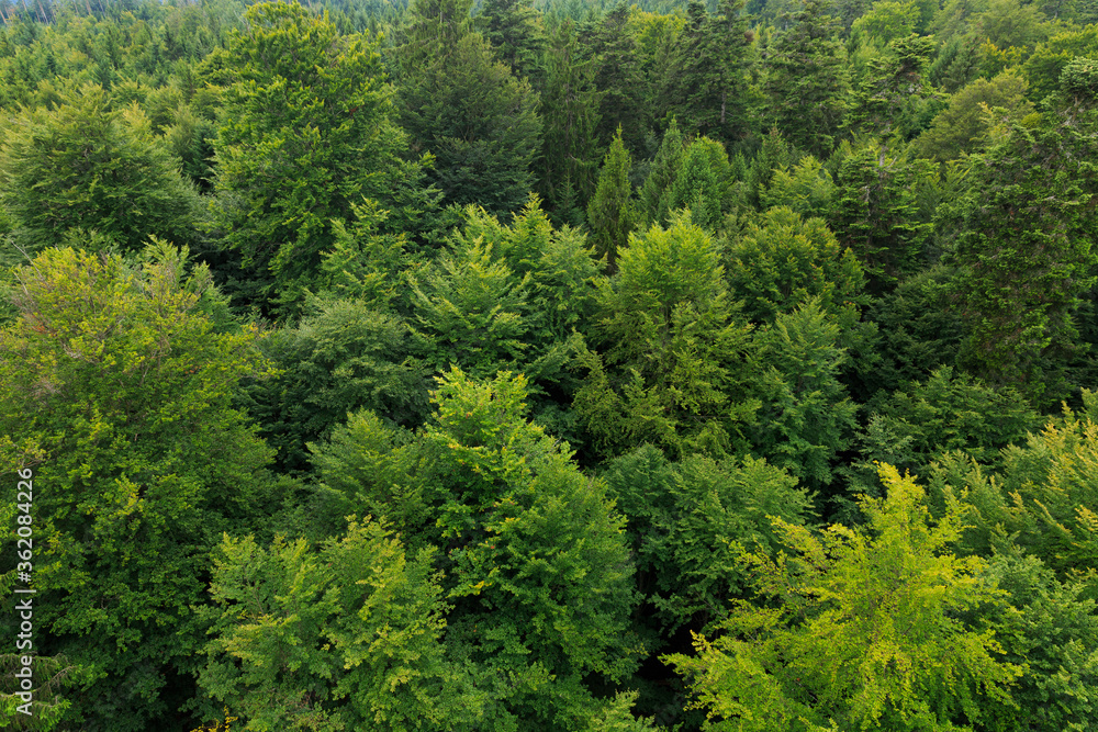 Aerial view of Black Forest Aerial view of Black Forest