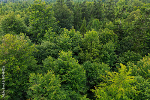 Aerial view of Black Forest