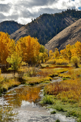 A back water of the Salmon River (River of No Return) during the fall season, north of Carmen, Idaho.