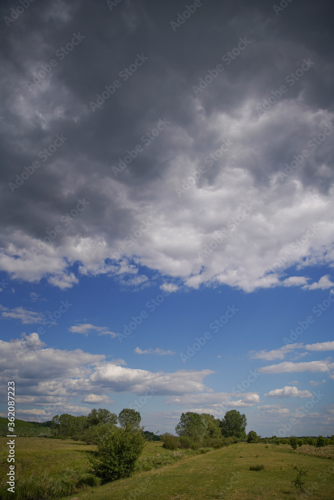 Empty meadow pasture for cows, cattle, lambs. On a cloudy but sunny summer day. Tápióbicske - Hungary Empty meadow pasture for cows, cattle, lambs. On a cloudy but sunny summer day. Tápióbicske - Hungary