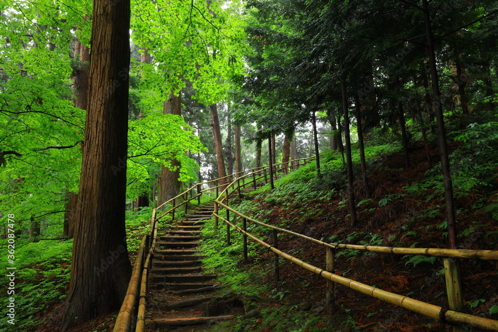 世界遺産 新緑の中尊寺 世界遺産 新緑の中尊寺