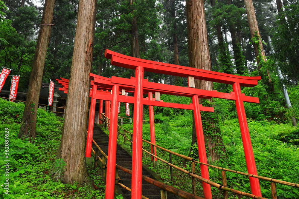 世界遺産　新緑の中尊寺