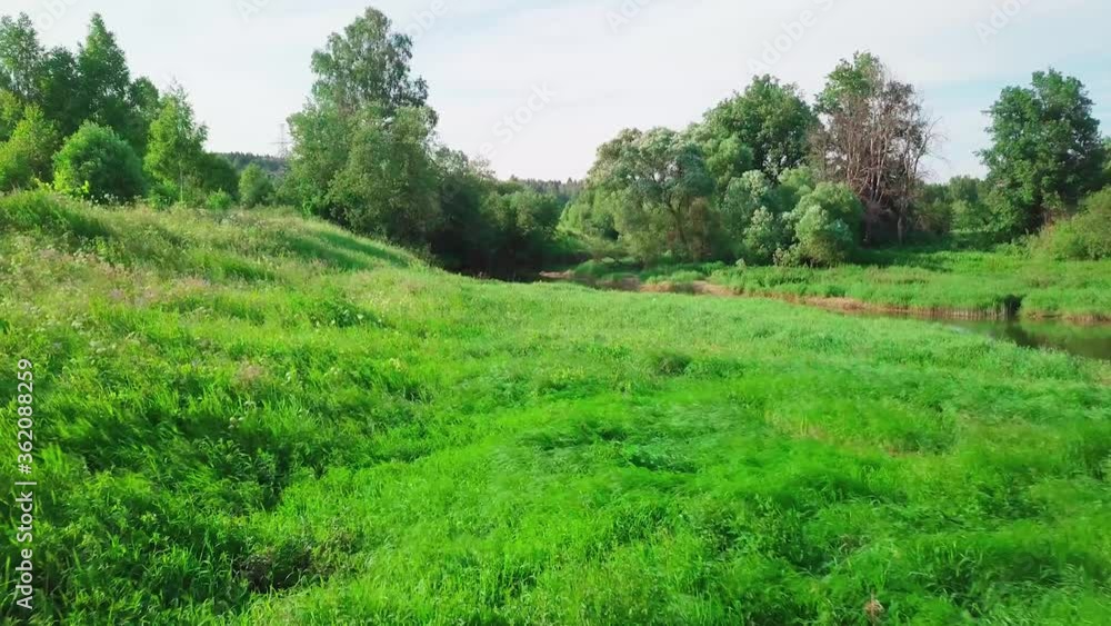 Green meadows with grass swaying from the wind. Nature field. Strong wind turbulence. Near the flowing river with trees growing along the banks. Summer landscape of nature of Russia. 4K resolution Green meadows with grass swaying from the wind. Nature field. Strong wind turbulence. Near the flowing river with trees growing along the banks. Summer landscape of nature of Russia. 4K resolution