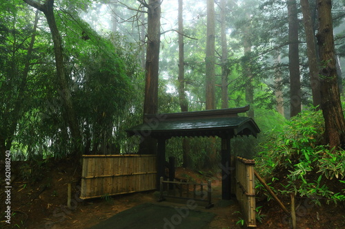 世界遺産 新緑の中尊寺