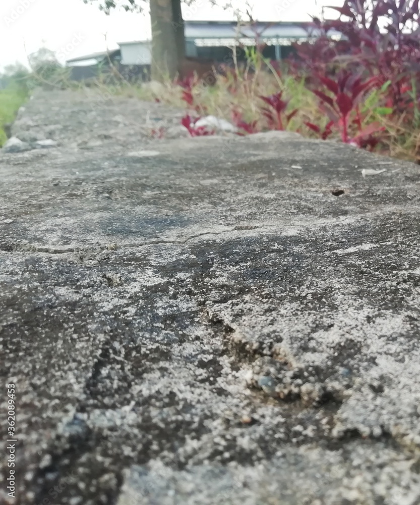 wall wall