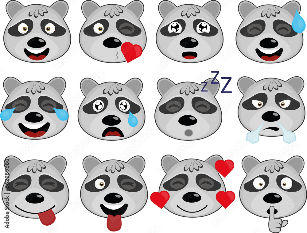 Vector illustration of raccoon face expressions cartoon Vector illustration of raccoon face expressions cartoon